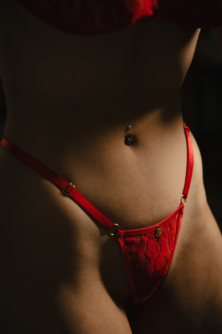 Red Rose Lace Lingerie Set